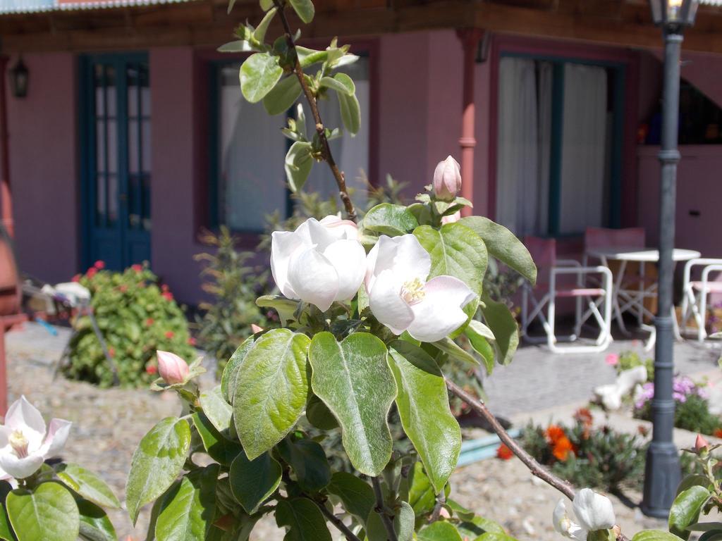 Posada Caracoles Puerto Pirámides Exteriér fotografie