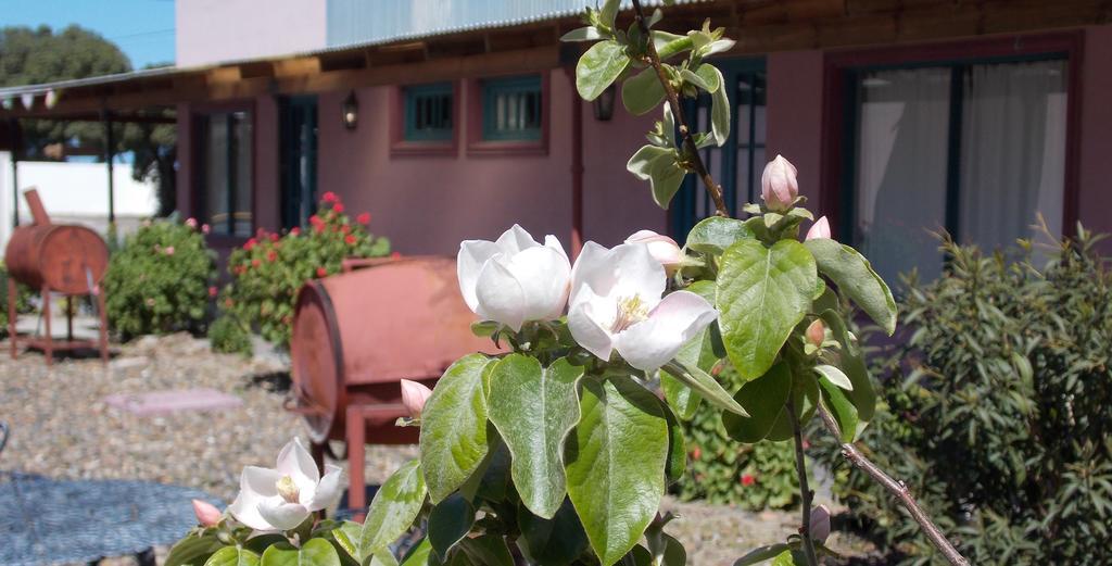 Posada Caracoles Puerto Pirámides Pokoj fotografie
